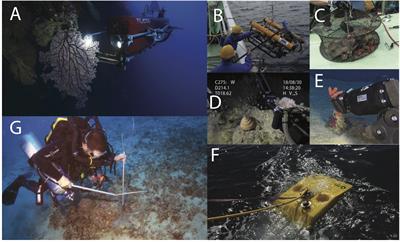 Exploring the Biodiversity of Understudied Benthic Taxa at Mesophotic and Deeper Depths: Examples From the Order Zoantharia (Anthozoa: Hexacorallia)